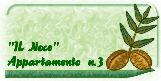 Il Noce