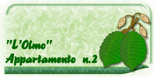 L'Olmo